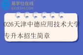 2026天津中德应用技术大学专升本招生简章