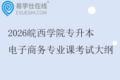 2026皖西学院专升本电子商务专业课考试大纲