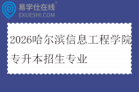 2026哈尔滨信息工程学院专升本招生专业