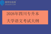 2026年四川专升本大学语文考试大纲
