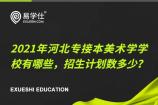 2021年河北专接本美术学学校有哪些，招生计划数多少？