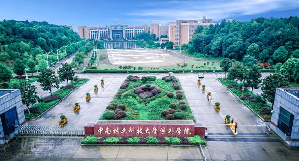 中南林业科技大学涉外学院专升本专业