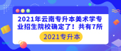2021年云南专升本美术学专业招生院校确定了！共有7所