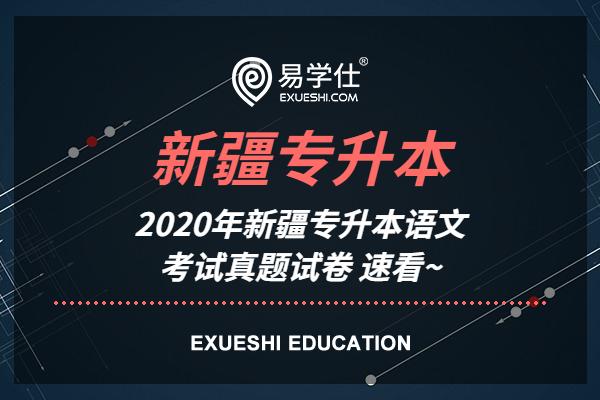 2020年新疆专升本语文考试真题试卷