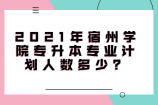 2021年宿州学院专升本专业计划人数多少？