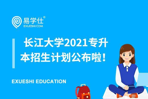 长江大学2021专升本招生计划公布啦！