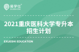 2021年重庆医科大学专升本招生计划（附下载）招生人数为250人