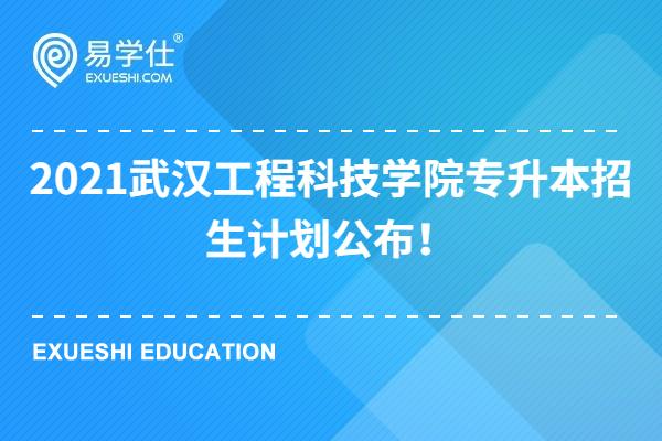 2021武汉工程科技学院专升本招生计划