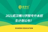 2021年武汉晴川学院专升本招生专业有哪些？招生计划公布！