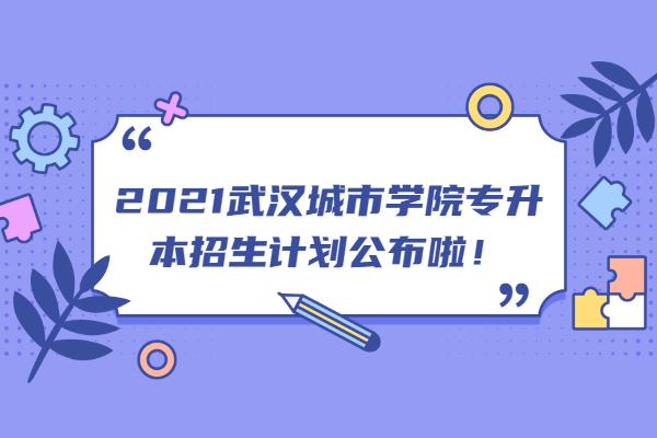 2021武汉城市学院专升本招生计划公布啦！