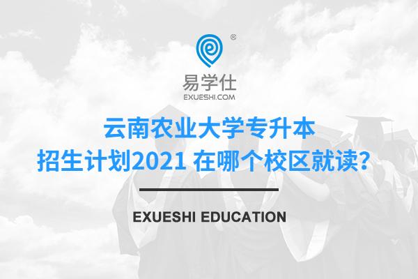 云南农业大学专升本招生计划2021