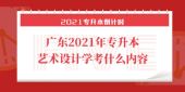 广东2021年专升本艺术设计学考什么内容