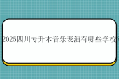 2025四川专升本音乐表演有哪些学校？