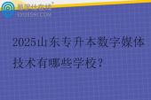 2025山东专升本数字媒体技术有哪些学校？