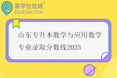 山东专升本数学与应用数学专业录取分数线2025