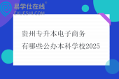 贵州专升本电子商务有哪些公办本科学校2025