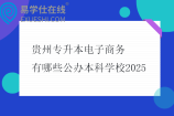 贵州专升本电子商务有哪些公办本科学校2025