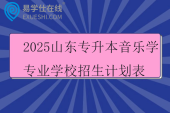 2025山东专升本音乐学专业学校招生计划表