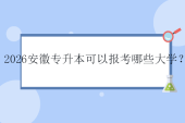 2026安徽专升本可以报考哪些大学？